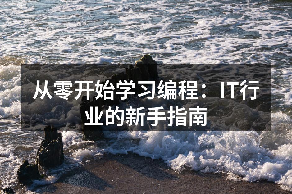 从零开始学习编程：IT行业的新手指南
